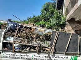 Professional Junk Removal  in Artesia, CA